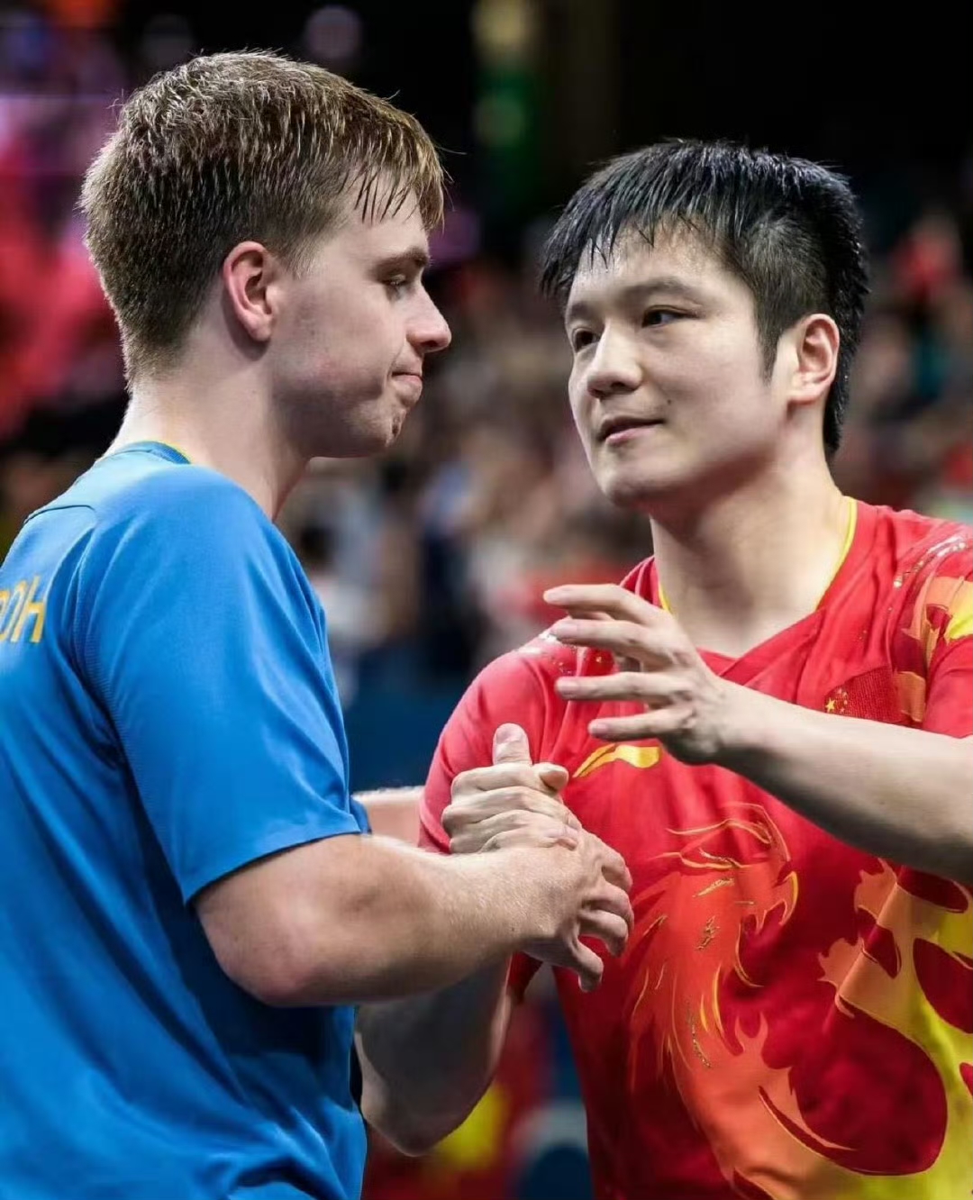 葡萄牙队逆转韩国队，樊振东点燃赛场