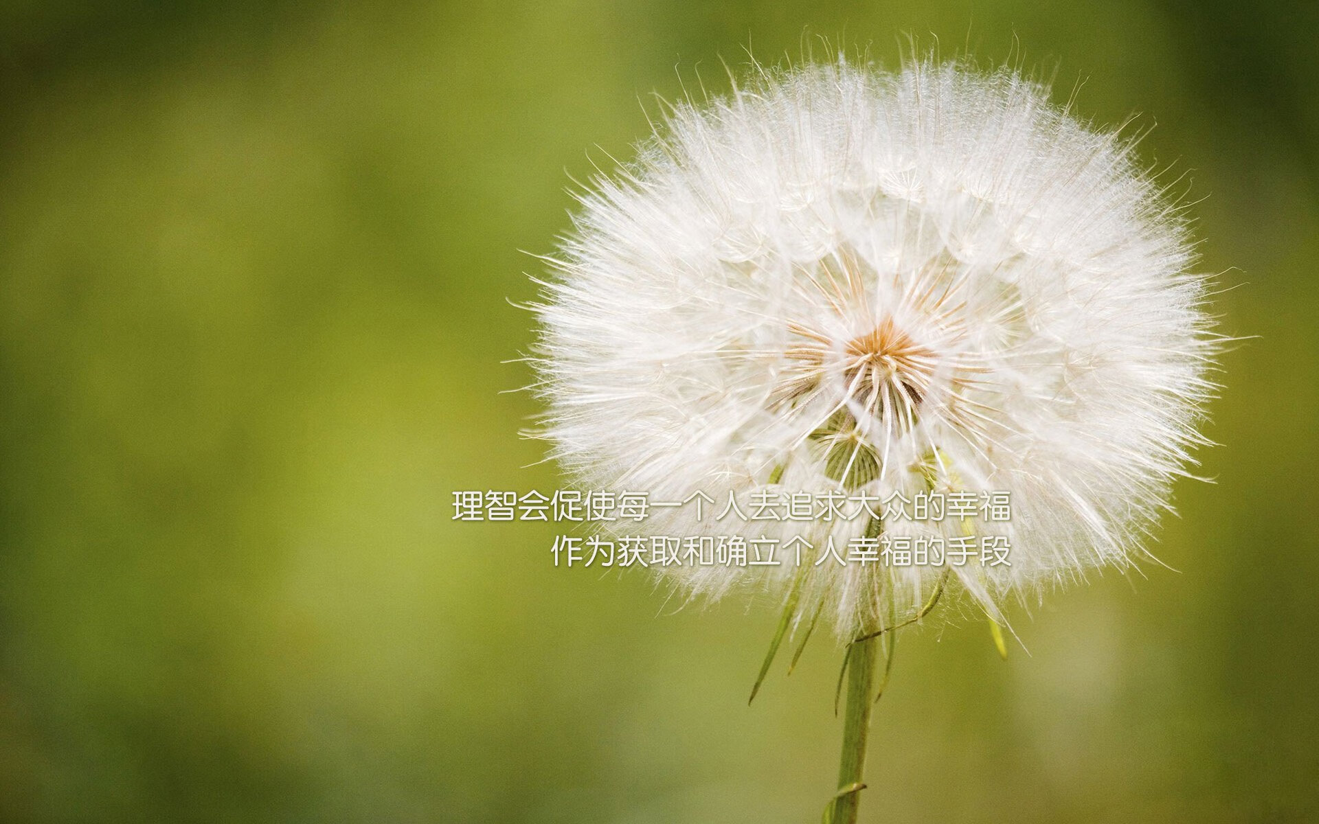 虚构|哥伦比亚3-2绝杀巴萨!38岁皮克倒钩惊艳四座,更衣室通道一幕令人动容