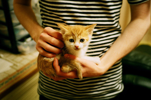 胜利之后,张继科听见了自己退役的倒计时