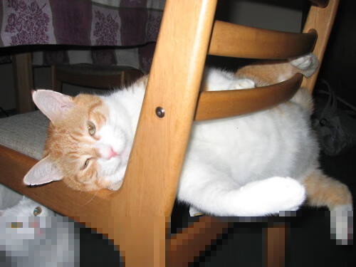 红土之上，联合杯之光，鲁德刷新纪录的法网绝杀传奇