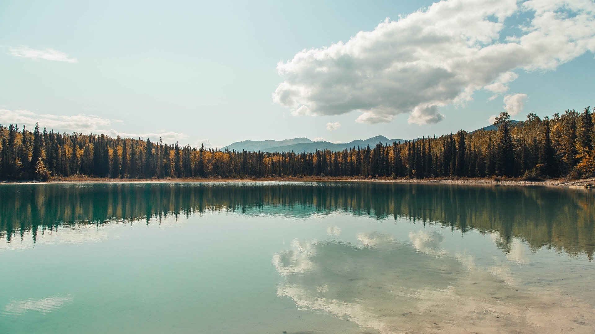 金州,篮球圣殿的足球神谕,西决生死战之夜与弗拉霍维奇的大场面基因