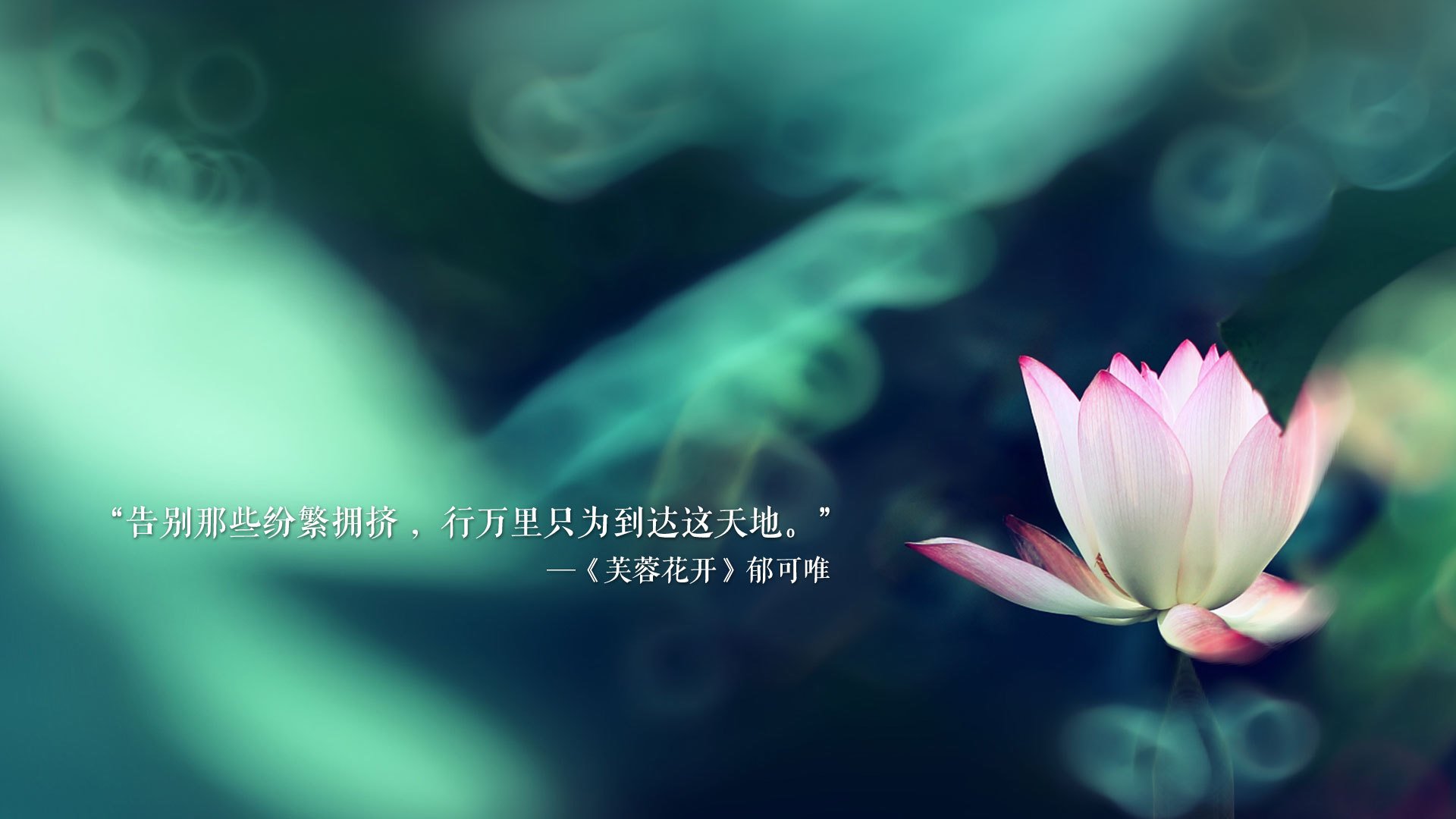 冷门风暴下的新星崛起,玻利维亚淘汰冰岛,富安健洋成为关键先生