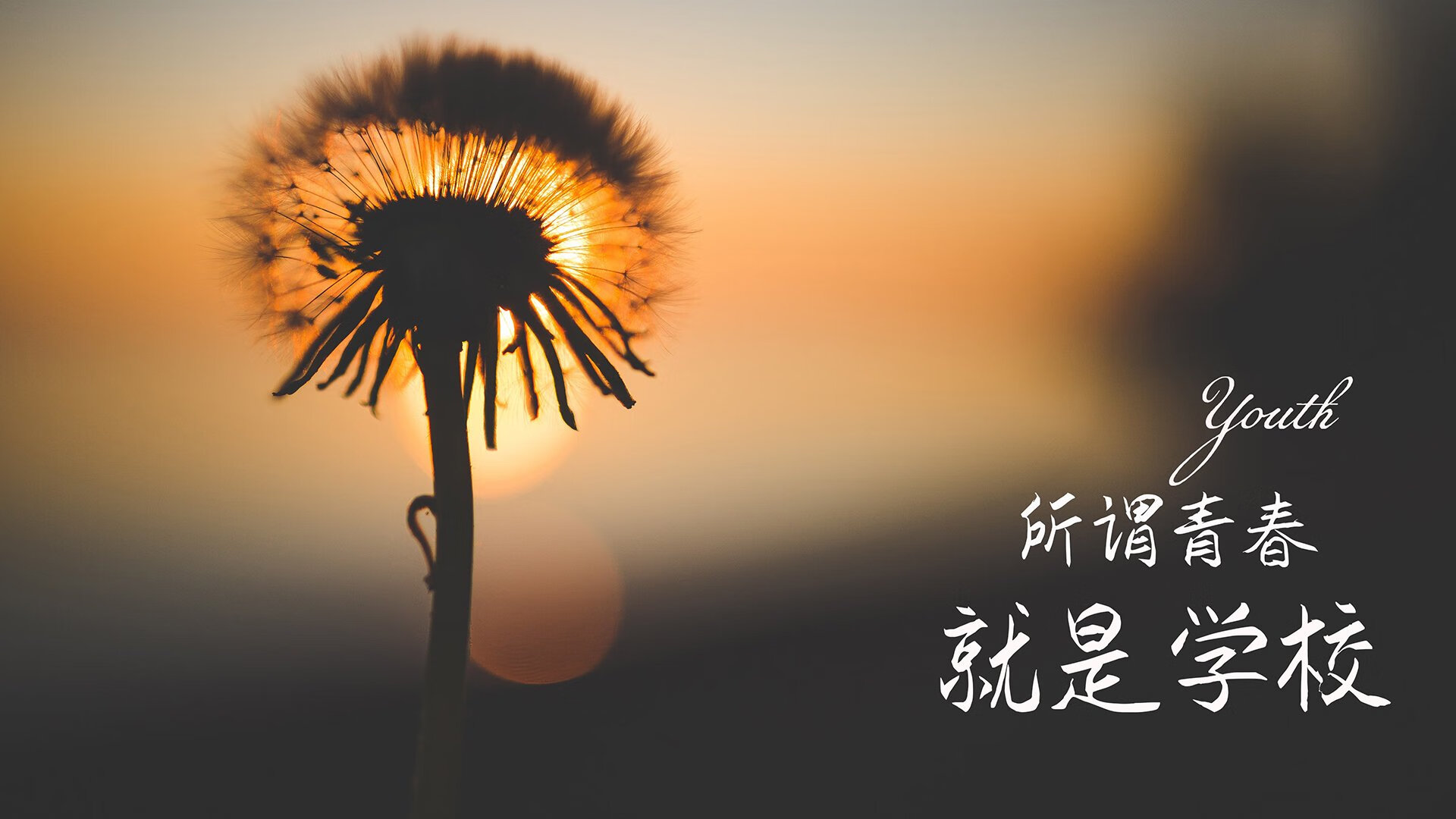 2026世界杯A组,摩洛哥防守反击碾压印度,奥斯梅恩独舞闪耀绿茵