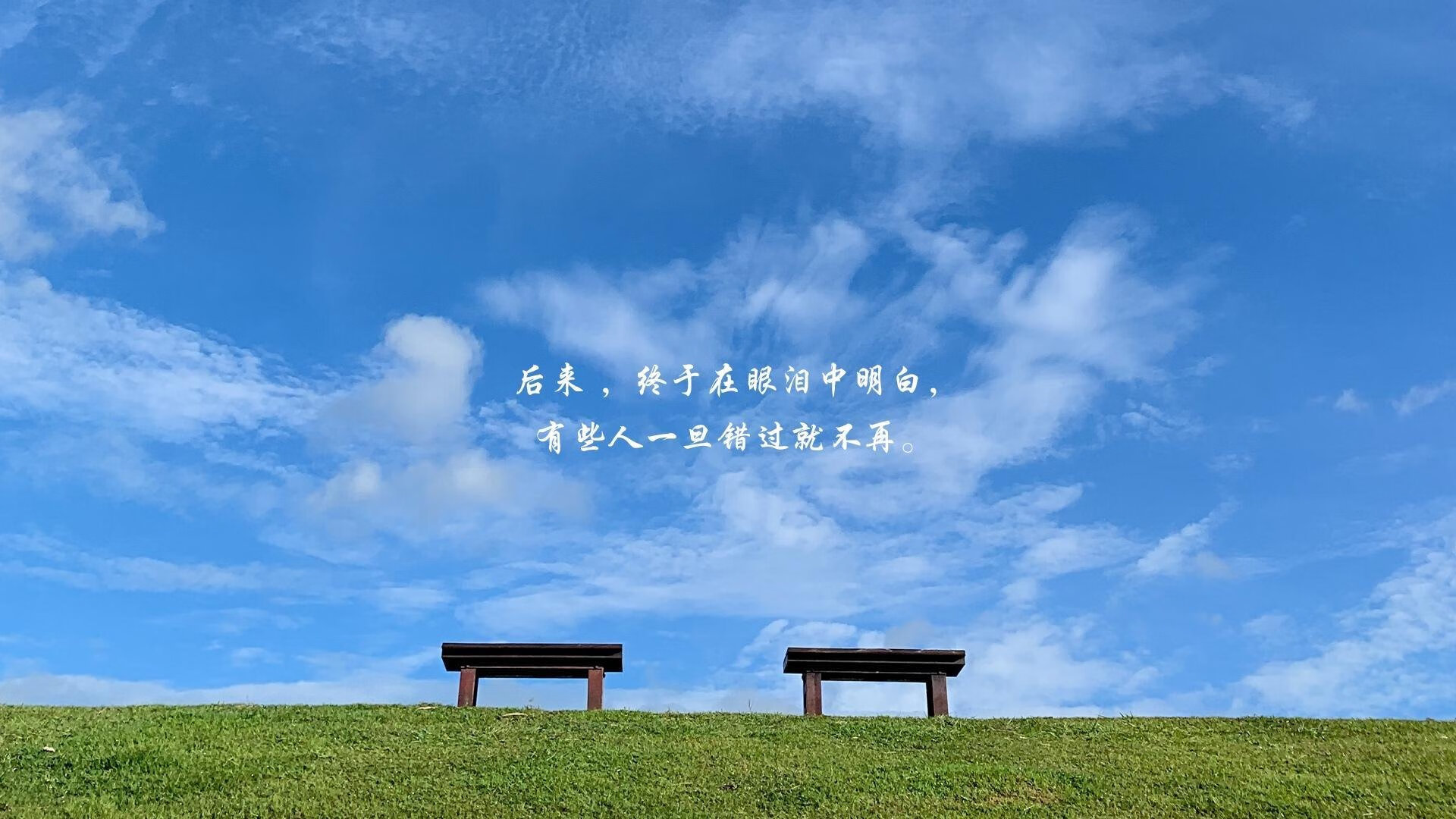 蓝潮逆袭，2026世界杯D组史诗一夜，罗马尼亚绝杀荷兰，努涅斯与黄金一代的无声交响